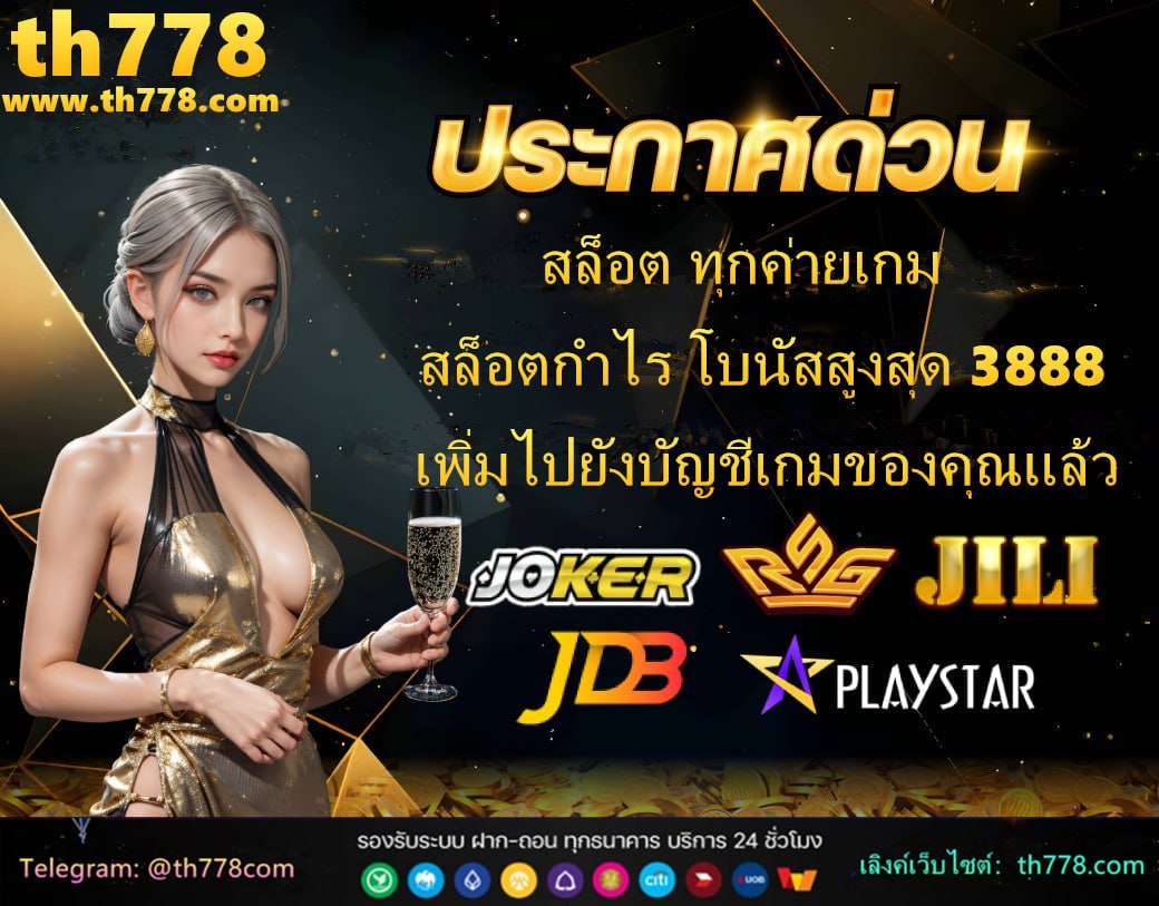 มวยพักยก 24